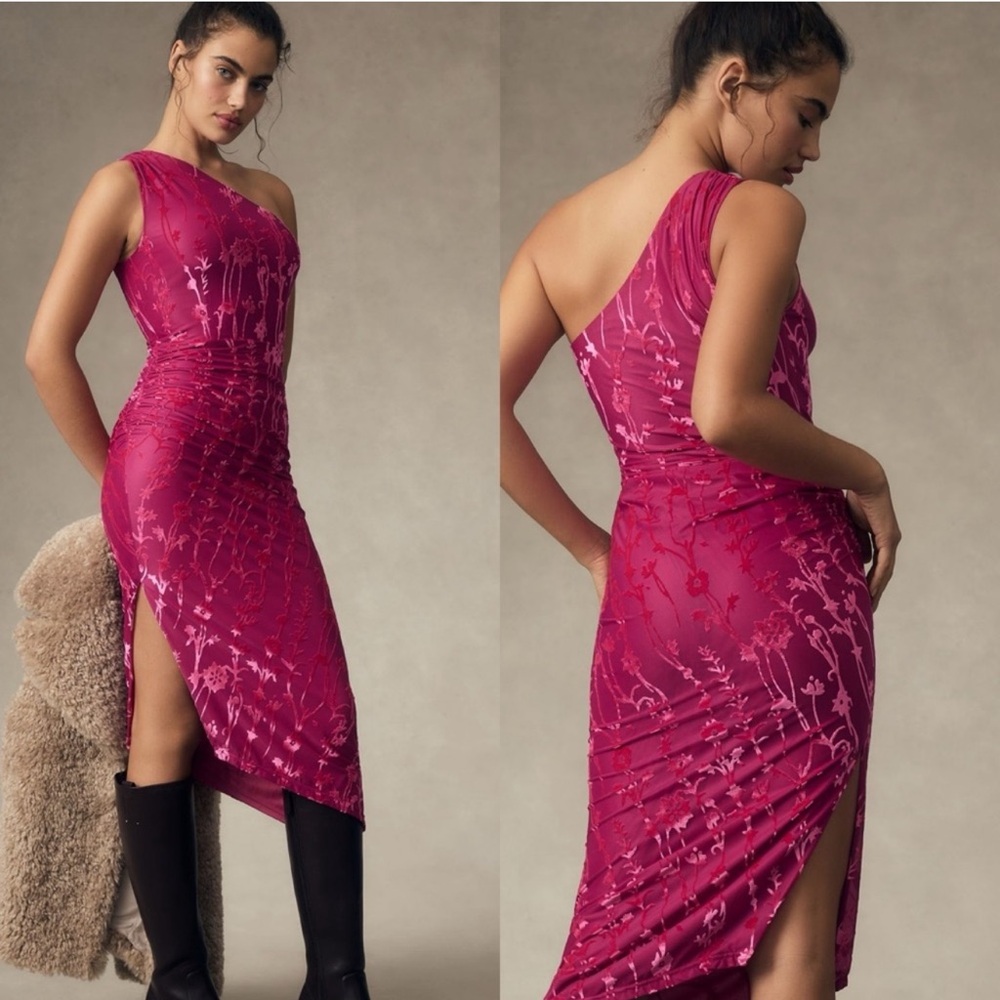 NWT Hutch One Shoulder Ruched Velvet Dress